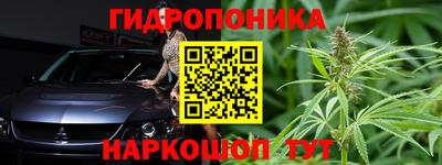 крисы Малоярославец