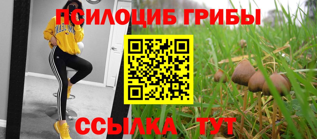 Галлюциногенные грибы мицелий  Галлюциногенные грибы Psilocybine cubensis  Урай  Вход с VPN 